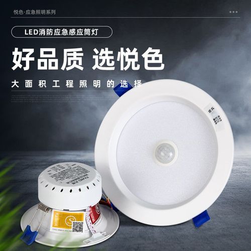 消防应急筒灯led嵌入式应急灯人体感应3456寸停电照明一体化射灯