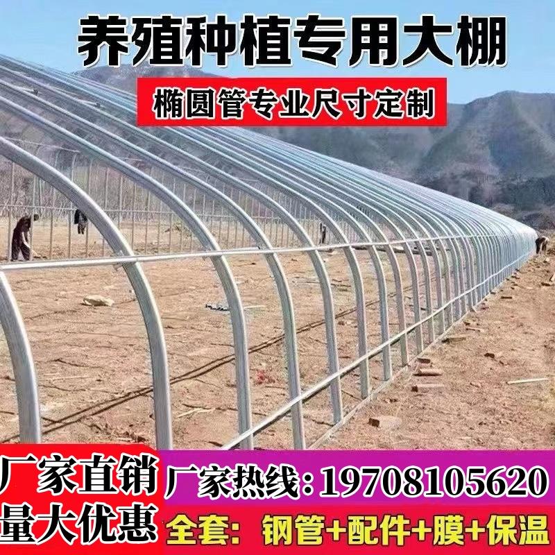 温室大棚骨架钢管养殖种植家用全套猪鸡舍钢架连栋大棚简易蔬菜棚