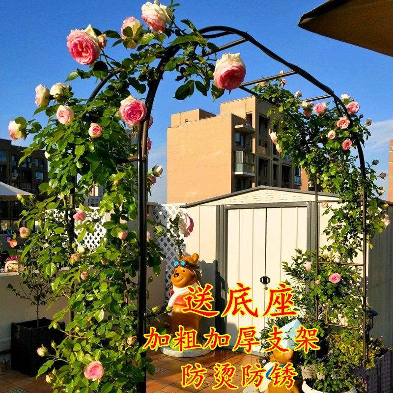铁艺拱门花架爬藤架葡萄架花园月季攀爬花支架户外植物架子菜棚架