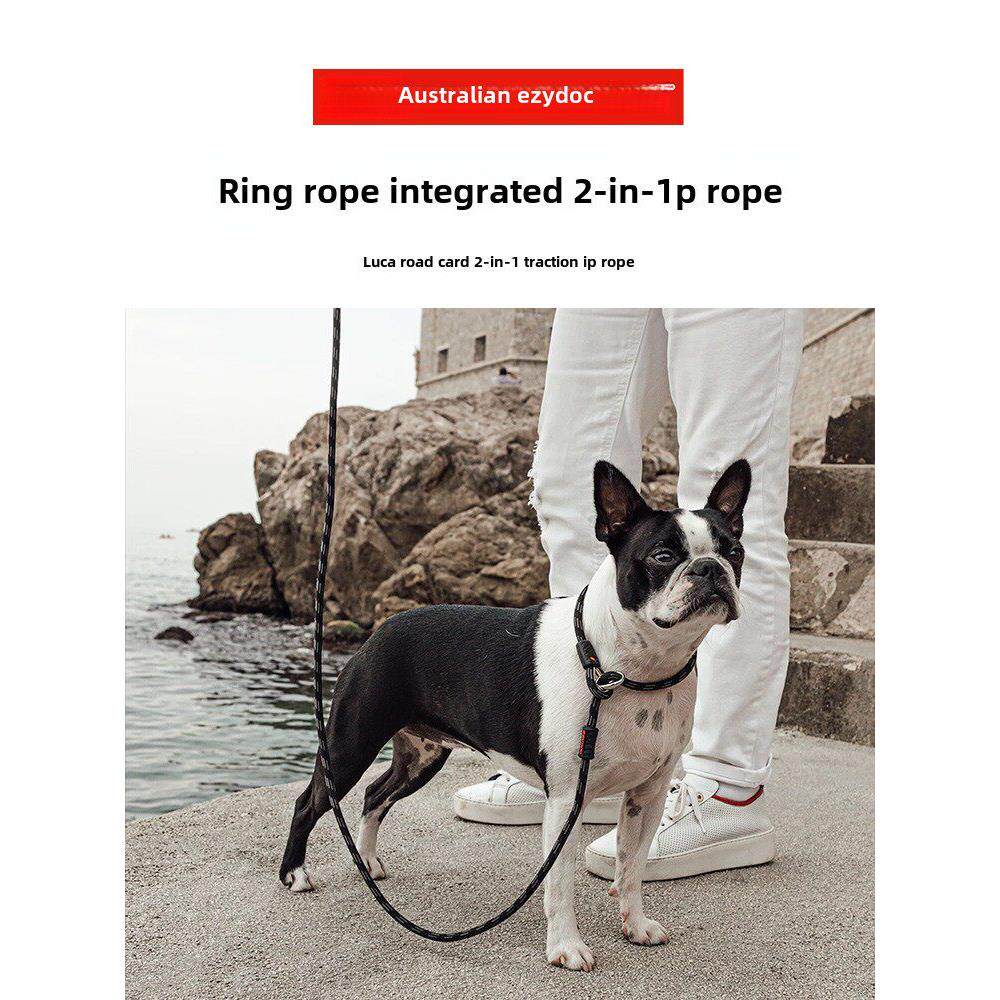 Ezydog澳大利亚进口牵引绳防爆牵引绳金毛猎犬大、小尺寸犬出门训