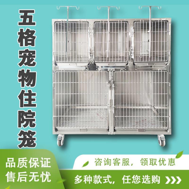 304不锈钢住院狗笼宠物医院猫笼宠物店五位寄养笼恒温氧舱繁殖笼