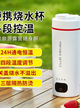 便携式车载旅行烧水杯电热水杯保温恒温冲奶加热小型水壶宿舍出差