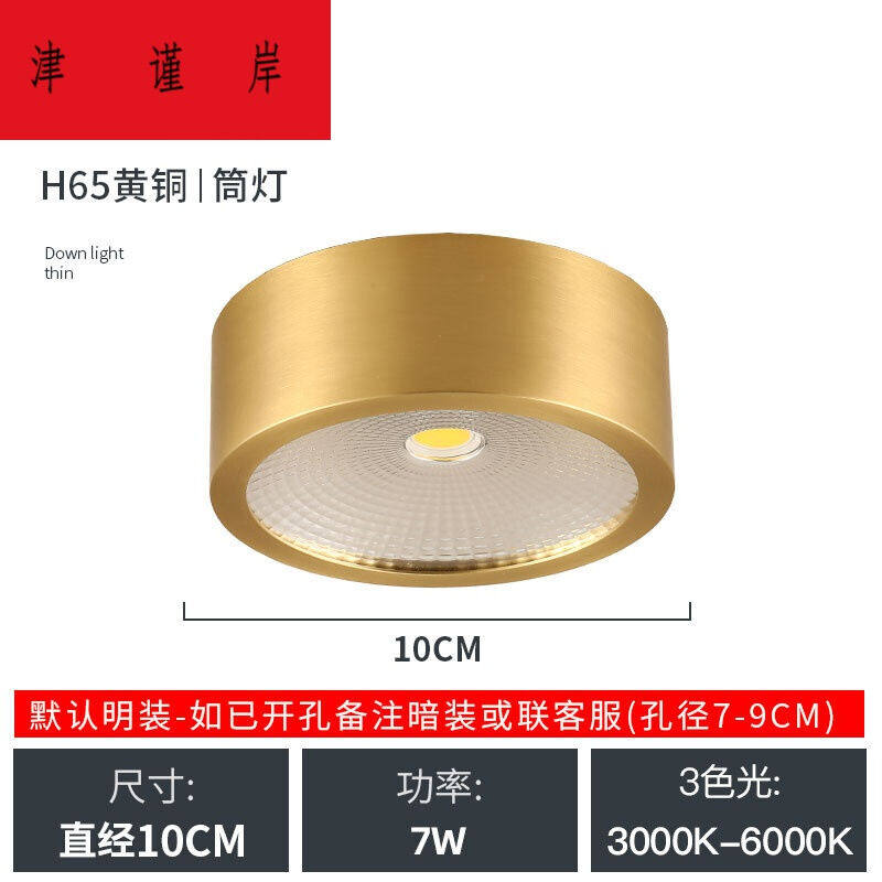 定制全铜明装筒灯射灯嵌入式家用客厅轻奢走廊过道吸顶薄led天花