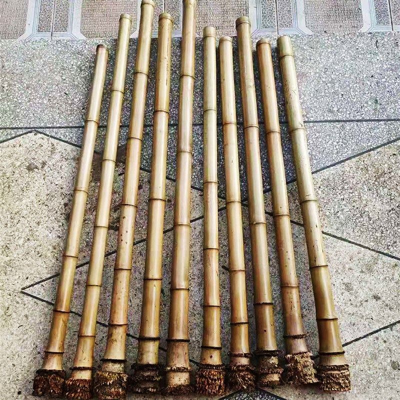 档湘妃梅妃斑竹南箫料紫竹桂竹尺八料带根广桂虎皮芝麻梅鹿蝴蝶