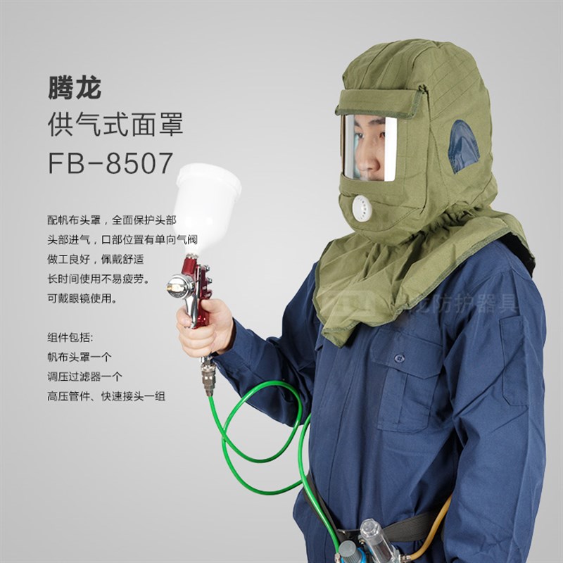 腾龙供气式面罩全面罩防毒防尘打磨帆布面具