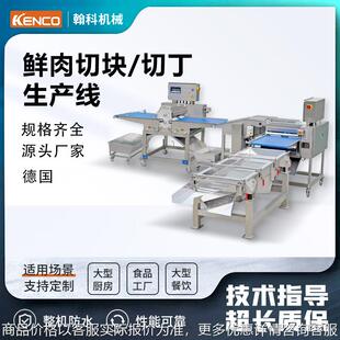 鸡肉块鱿鱼肉切块机切鸡块猪肉块设备-切丁机