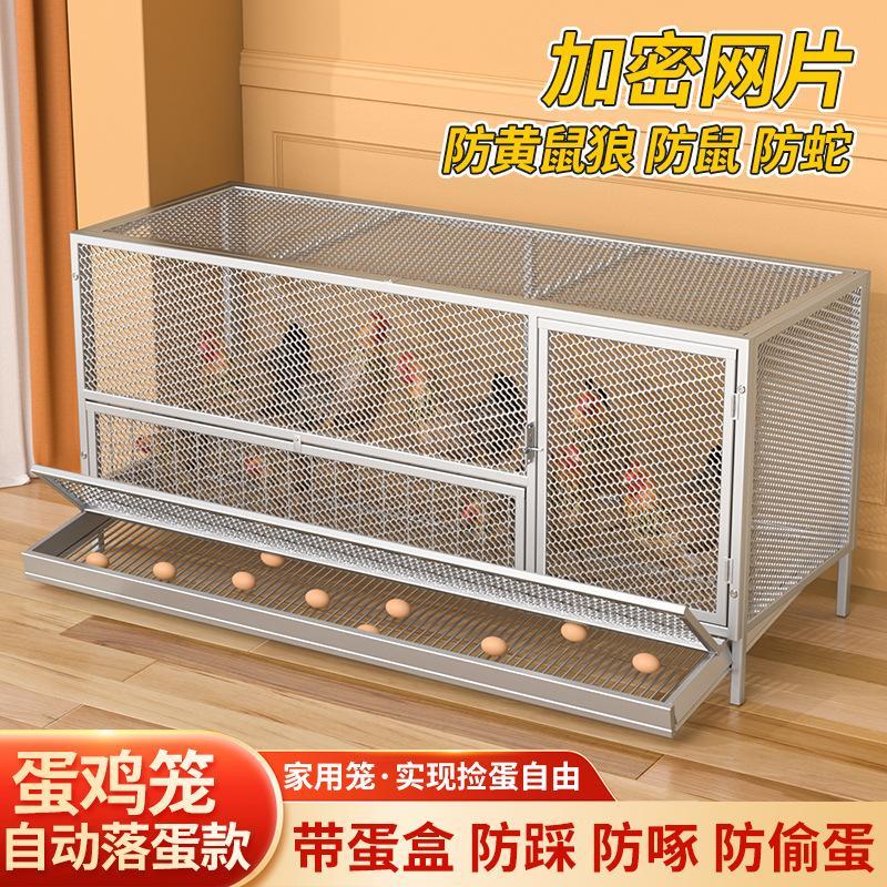 家用室外鸡笼子自动出蛋收蛋鸭鹅专用笼加密链条网片笼防黄鼠狼图片