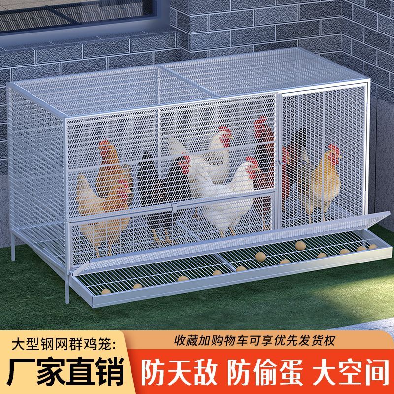 鸡笼子加密网片防黄鼠狼鸡笼雏鸡笼自动出蛋鸡笼农村养殖场专用笼图片