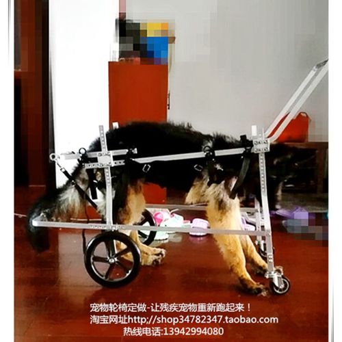 大型残疾宠物代步车/大狗助行轮椅宠物代步车/四肢瘫痪宠物代步车