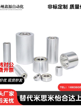 平皮带用惰轮ENJ01 EqNJ06 ENJ02 直柱型 无法兰型/带法兰型怡和