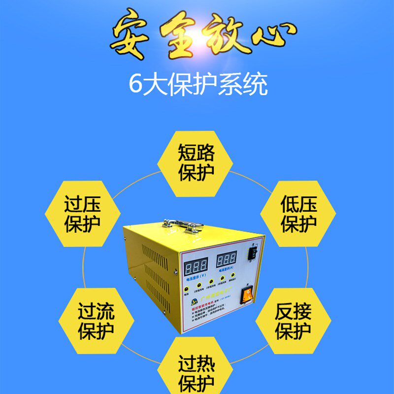 湘阳25A电动四轮机观光车代步车巡逻车磷酸铁锂电池双显示充电器