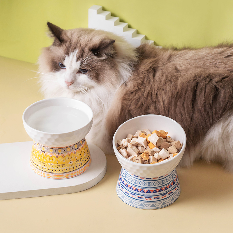 猫咪吃饭高脚陶瓷猫碗斜口小狗狗饭碗专用幼猫食盆护颈饭盆喝水碗