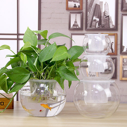 水培植物玻璃瓶 水培绿萝花瓶花盆玻璃圆球水养鱼缸器皿容器