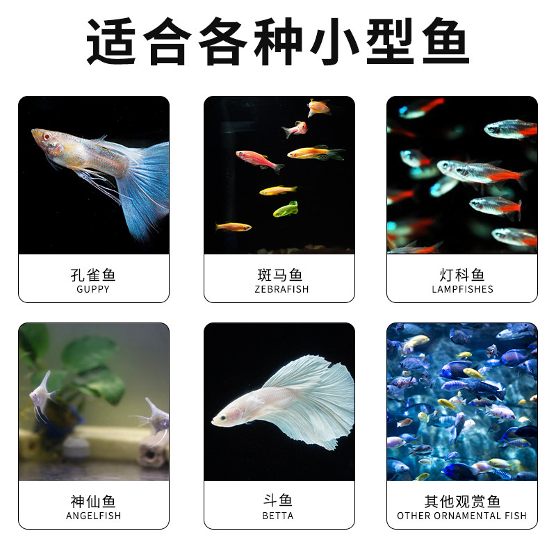 热带鱼饲料观赏鱼鱼粮上浮鱼食专用孔雀鱼食小颗粒观赏鱼型鱼凤尾,宠物/宠物食品及用品,观赏鱼饲料,淘宝优惠券,粉丝福利购,淘宝优惠卷