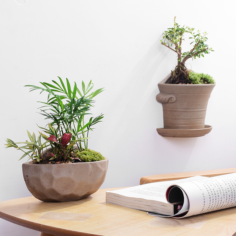 粗陶壁挂花盆陶瓷简约创意阳台垂吊盆绿萝悬挂式多肉花盆墙壁花器