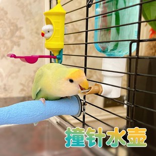 鹦鹉撞针饮水器水壶不锈钢针嘴防污染玄凤牡丹虎皮水盆鸟自动喂水