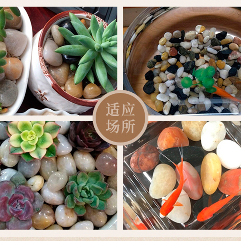 抛光鹅卵石石头造景花盆装饰盆栽园艺雨花石鱼缸铺路小石子鹅软石