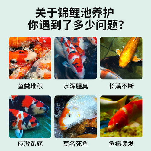 硝化细菌鱼缸鱼池专用消化细菌活菌水质净化净水剂锦鲤稳定清澈剂