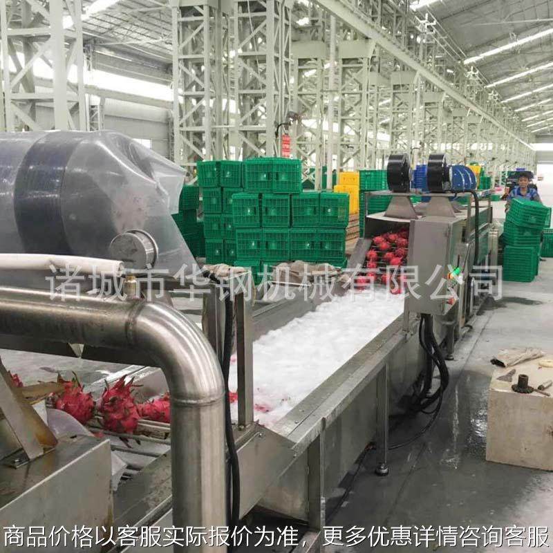 红心火龙果清洗风干流水线 全自动清洗火龙果设备厂家,清洗/食品/商业设备,果蔬加工设备,淘宝优惠券,粉丝福利购,淘宝优惠卷