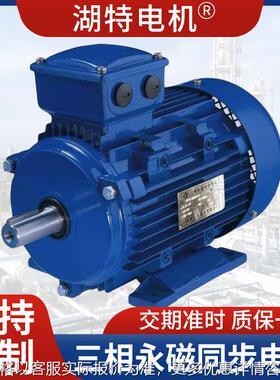 厂家供应TYBZ系列三相永磁同步电机 减速机配套 质保一年