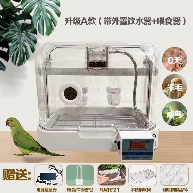 虎皮牡丹玄凤芦丁鸡鹦鹉幼鸟孵化繁殖饲养育雏恒温控小型保温箱笼