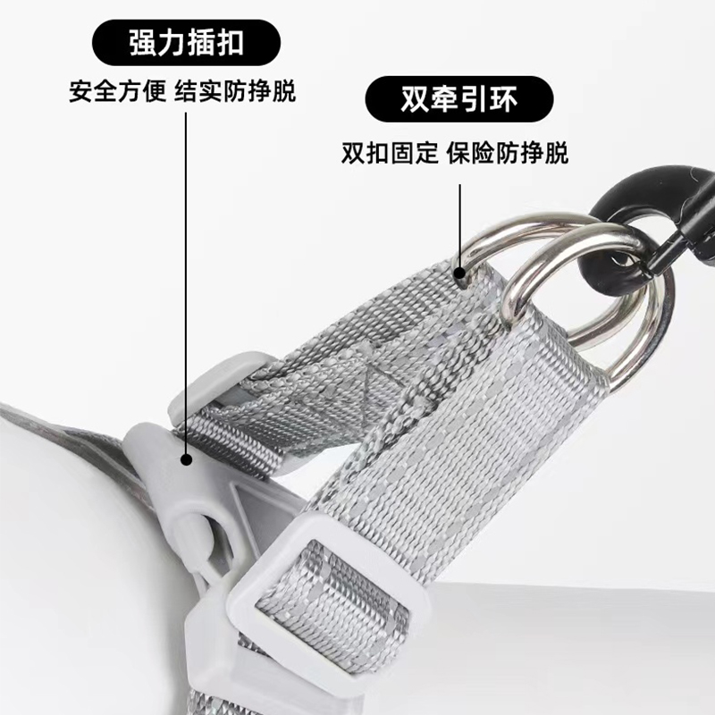 狗狗牵引绳中小型犬遛狗绳牵狗绳柯基泰迪犬比熊狗链子宠物狗背带