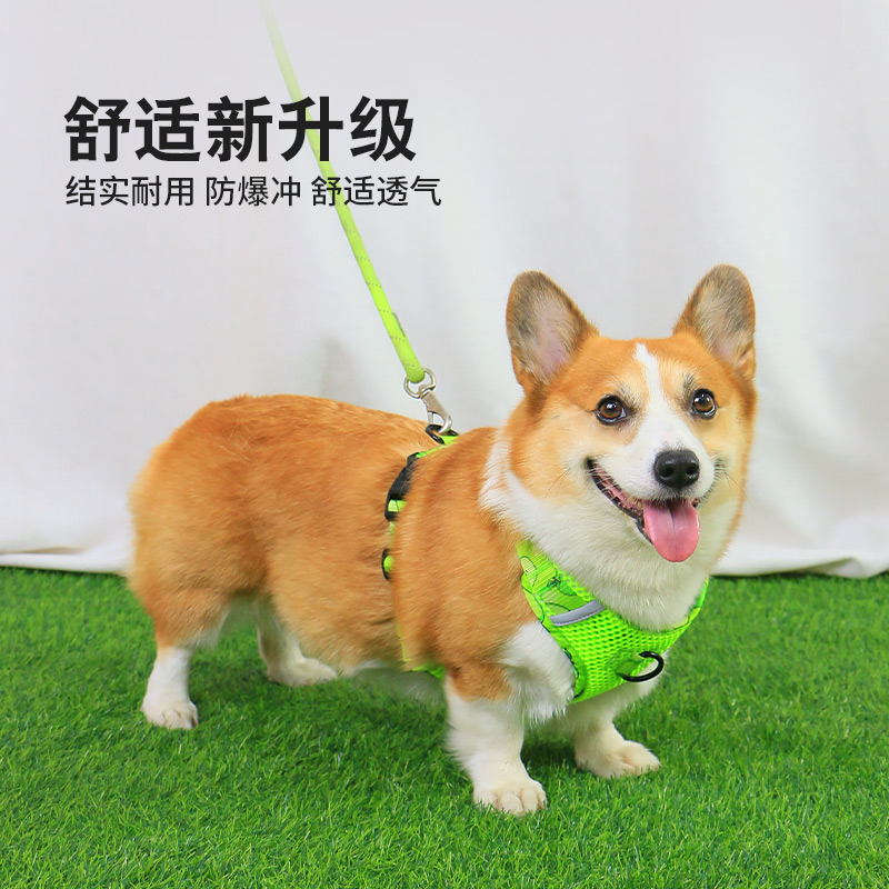 宠物狗狗胸背带牵引绳背心式小型犬柯基泰迪柴犬狗绳防爆冲遛狗绳