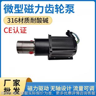 密封无泄漏微型磁驱动不锈钢齿轮泵可调节小型不锈钢磁力水泵油泵