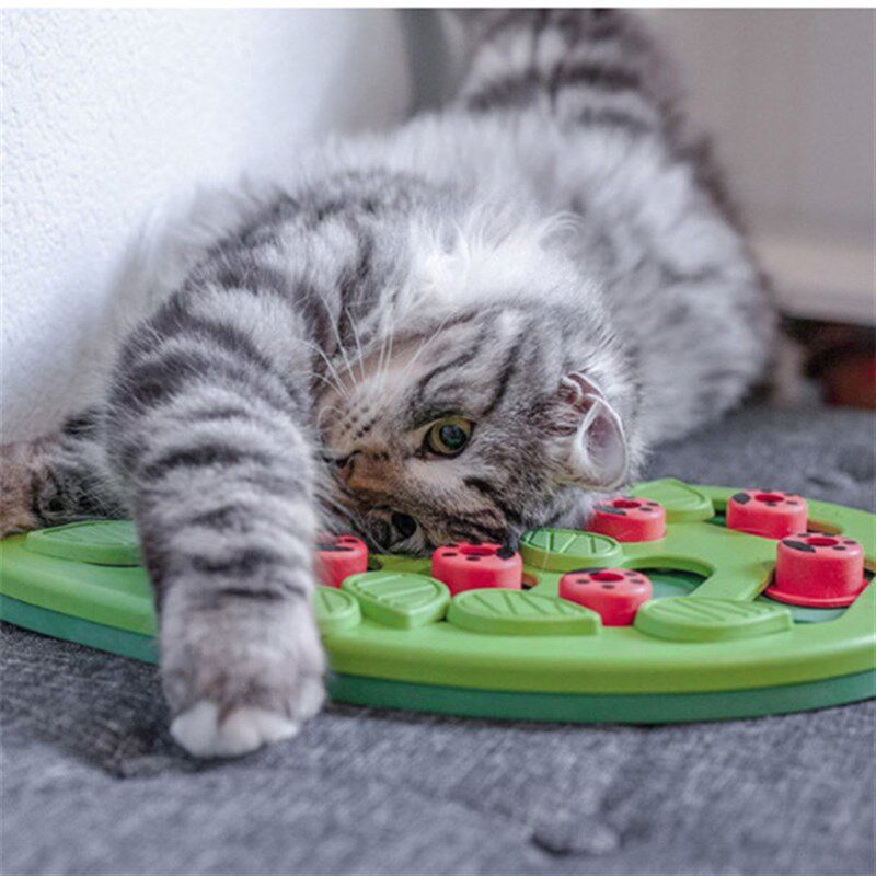 Kyjen酷极猫咪狗狗玩具猫抓板漏食自嗨转盘逗猫解闷慢食耐抓网红