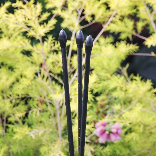 枝晓 三角支柱 盆栽固定藤蔓爬藤架花盆支架园艺包塑钢管攀爬支架