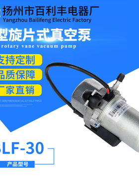 旋片泵高速新能源电动汽车专用真空泵 功率大 抽气速率快BLF-30