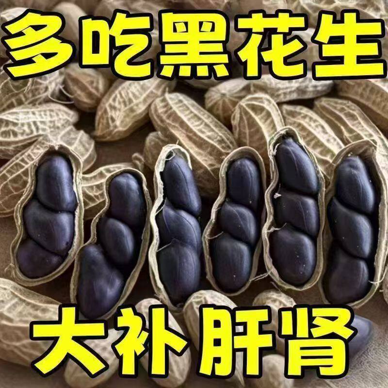 央妈推荐云南特产级原味富硒黑花生带壳小粒黑花生味甜黑皮可种植