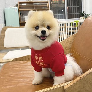 宠物保暖雪纳瑞喜庆比熊泰迪中小型犬卫衣红色 狗狗猫咪衣服秋冬季