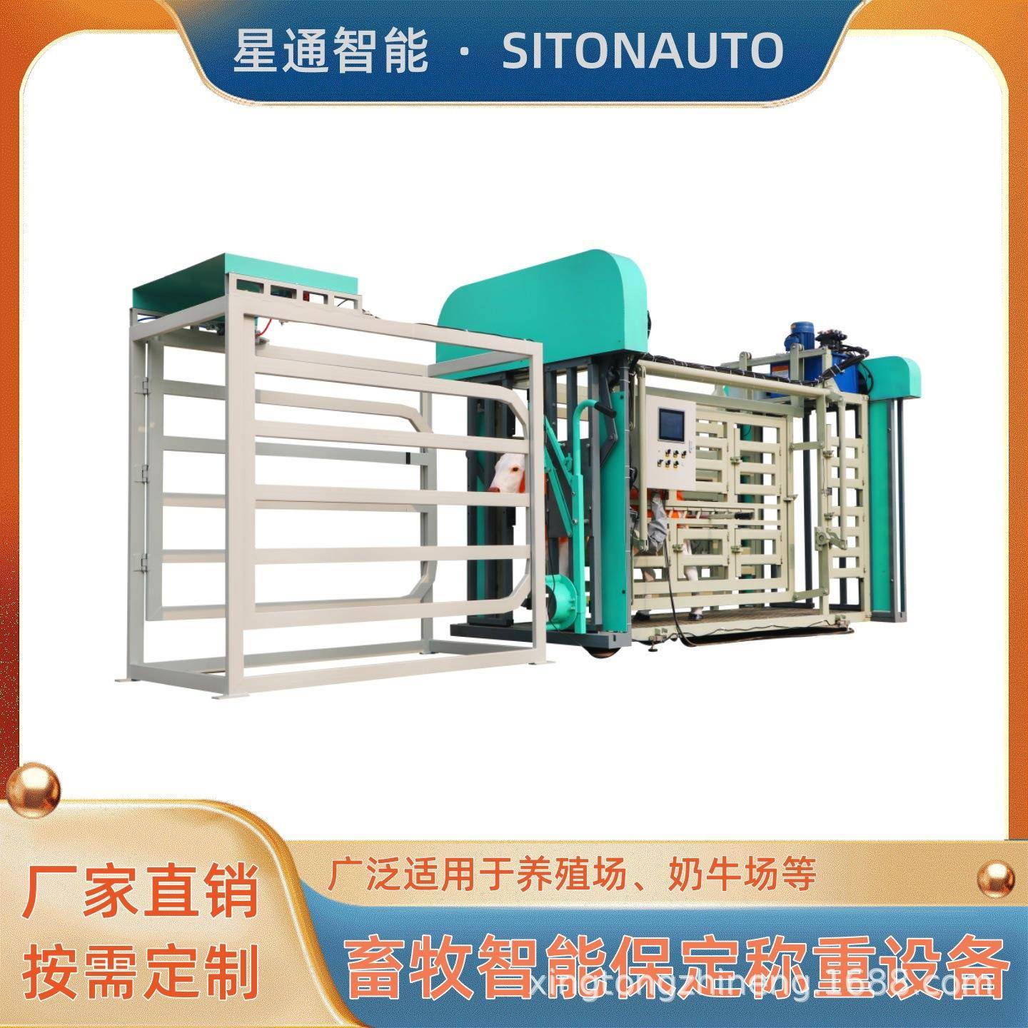 多功能牛用养殖设备保定称重分群识别耳标动态称重高精度智能管理
