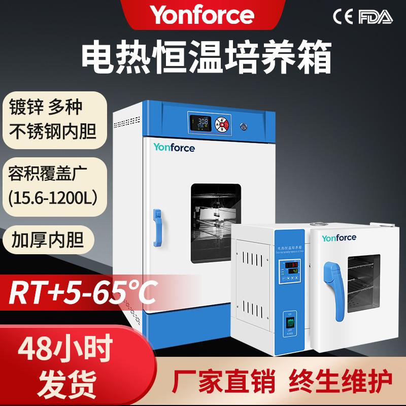 电热恒温培养箱实验室微生物种恒温培养箱电热恒温培养箱精准