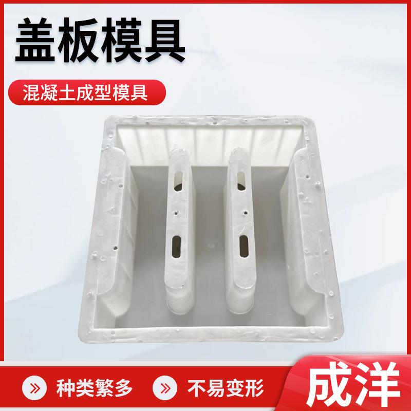 公路混凝土盖板模具预制混凝土盖板模型四孔排水沟盖板塑料模具