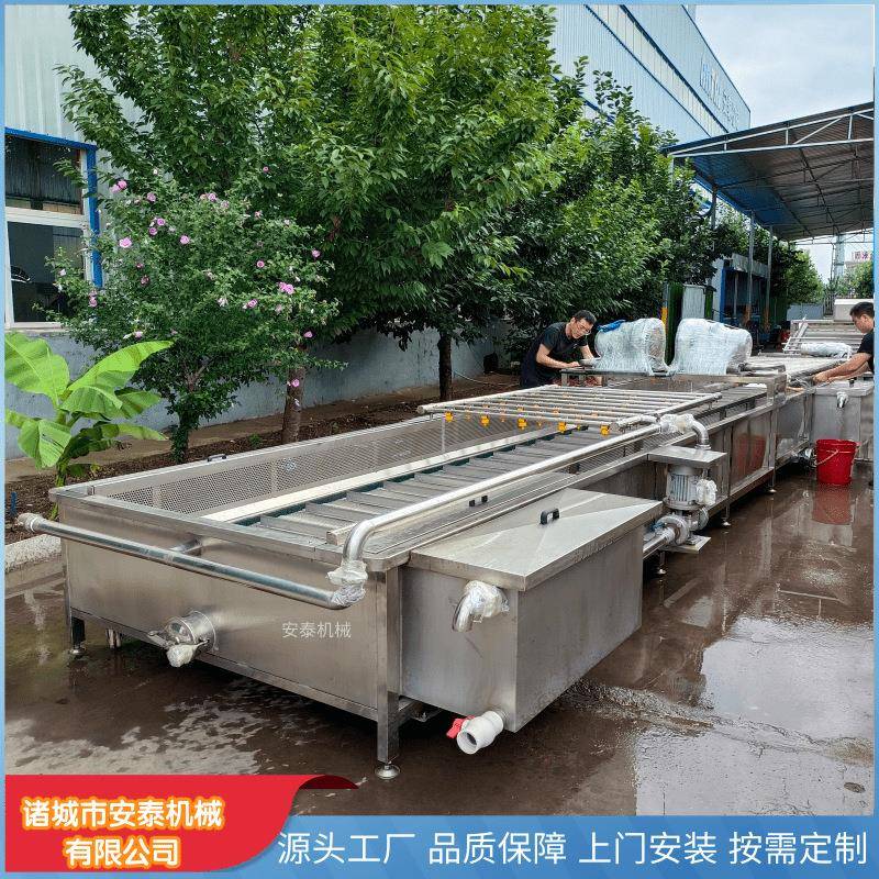 不锈钢蔬菜涡流气泡清洗机中草药气泡清洗设备多功能食品清洗机