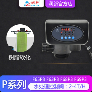 润新全自动多路控制阀 P系列水处理软化简易阀64504 F65P1 F63P3