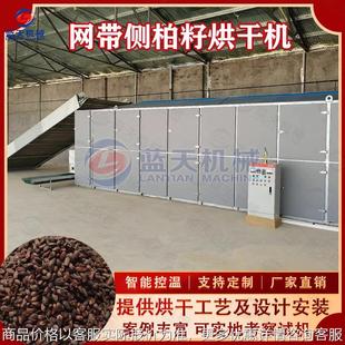 连续式侧柏籽烘干机 柏树籽柏子壳柏树叶烘干设备 侧柏种子干燥机