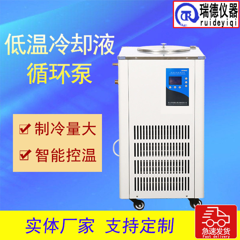 瑞德 低温冷却液循环泵DLSB-10L冷却水循环泵低温循环泵 源头厂家
