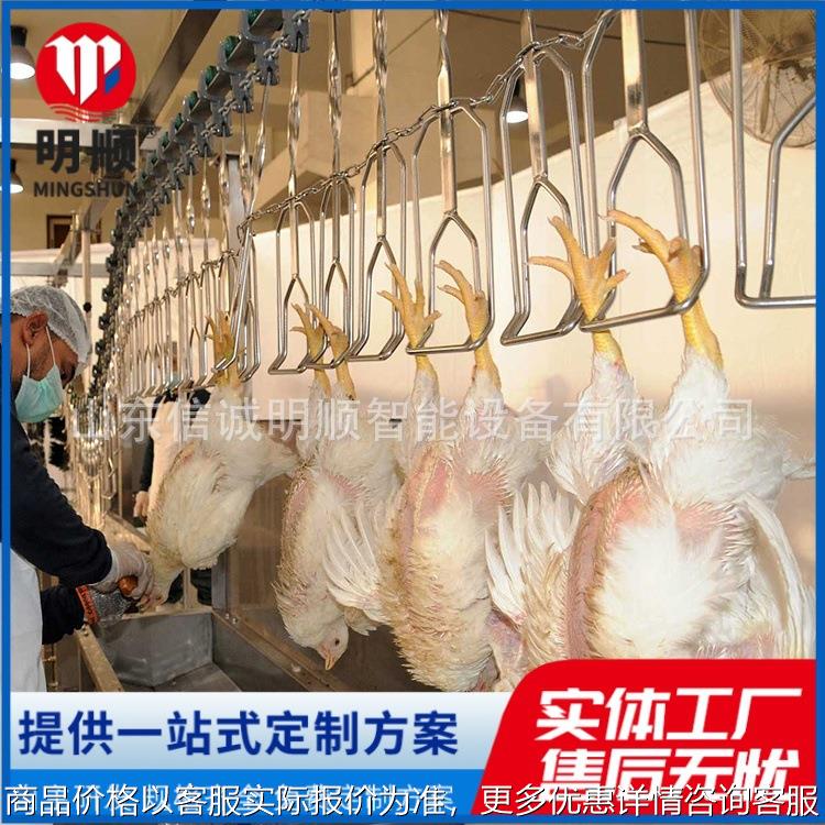 家禽屠宰设备 家禽屠宰流水线成套设备免费设计方案 专业厂家定制