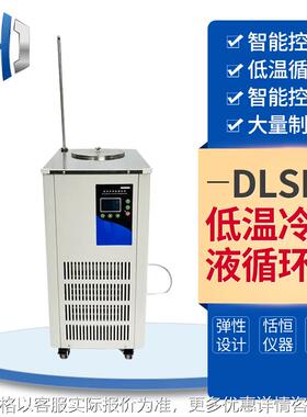 DLSB低温冷却液循环泵 冷水机 5/10/20L实验室低温冷却循环泵
