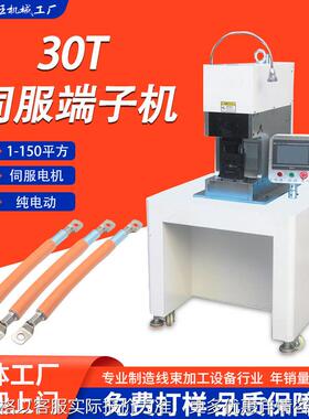 全自动30T伺服端子机压接150平方端子线束自动端子机大平方打端机
