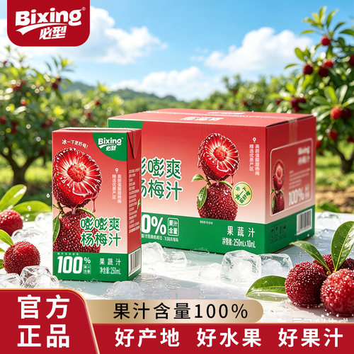 必型杨梅/凤梨/荔枝汁 100%果蔬汁250ml果汁烧烤解腻饮料便携整箱