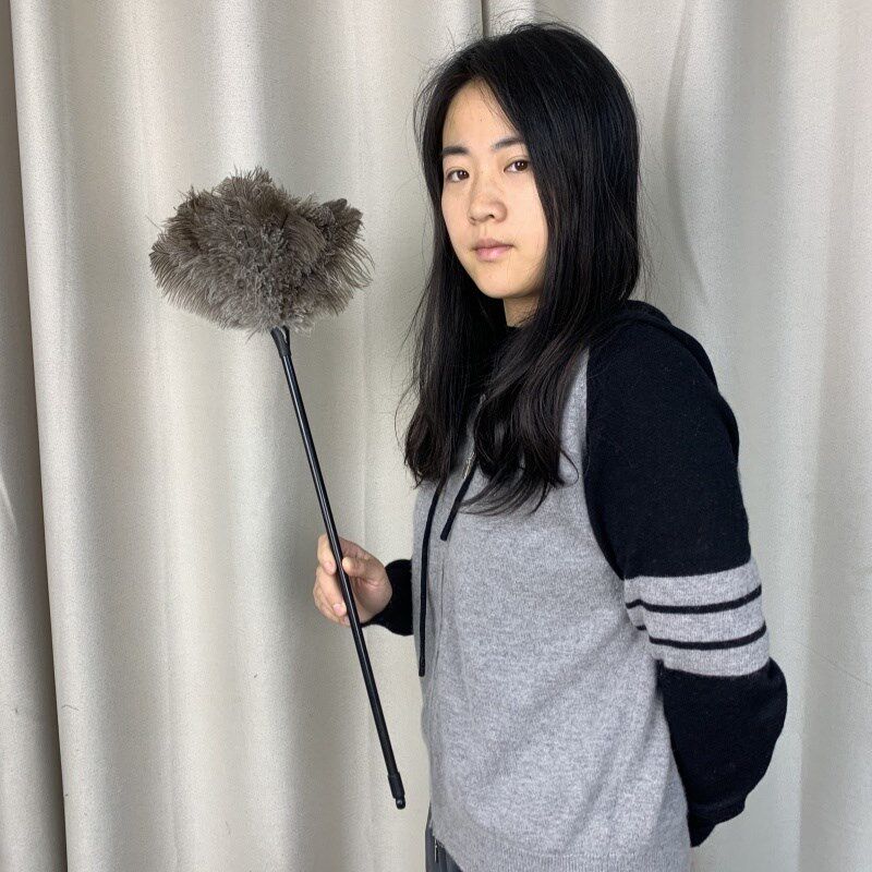 鸵飞飞鸵鸟毛掸子手工打扫吸尘加长除尘塑料长逗猫棒水洗