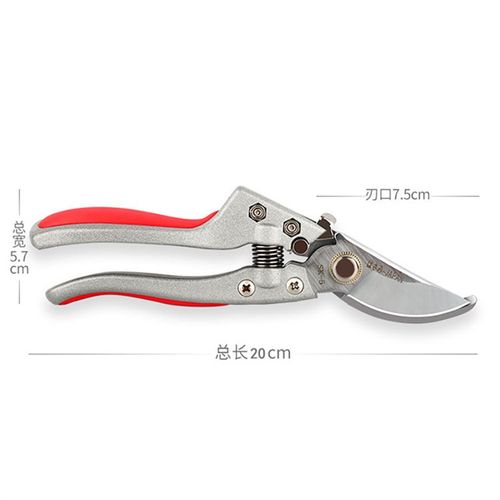 不锈钢果树修枝剪刀树枝剪花卉园林修花剪家用省力粗枝剪花艺剪刀