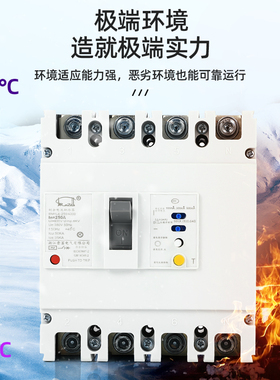 CM1LE-100A 125A 160A 225A 250A 400A 630A 3300 4300漏电保护器