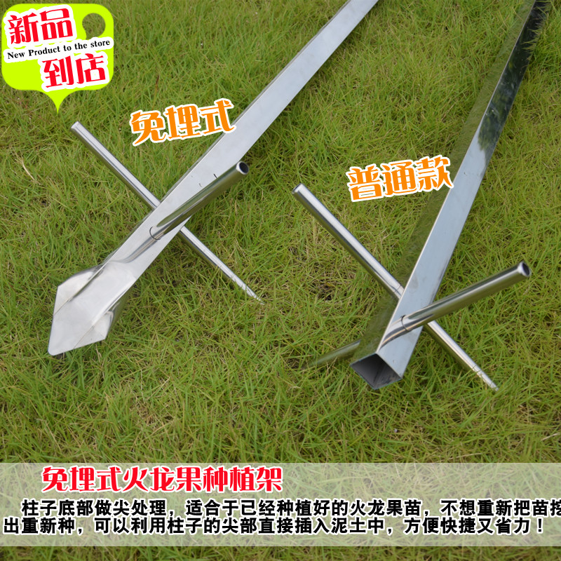 火龙果专用架不锈钢花架盆栽种植支架顶圈架绿植爬藤支撑架子落地