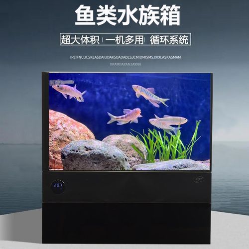 金晶超白玻璃底滤一体鱼缸小型海水缸懒人免换水生态鱼缸水族箱