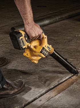 DEWLT得伟 DEN 2吹风机鼓风机吹尘器家用电脑吹灰